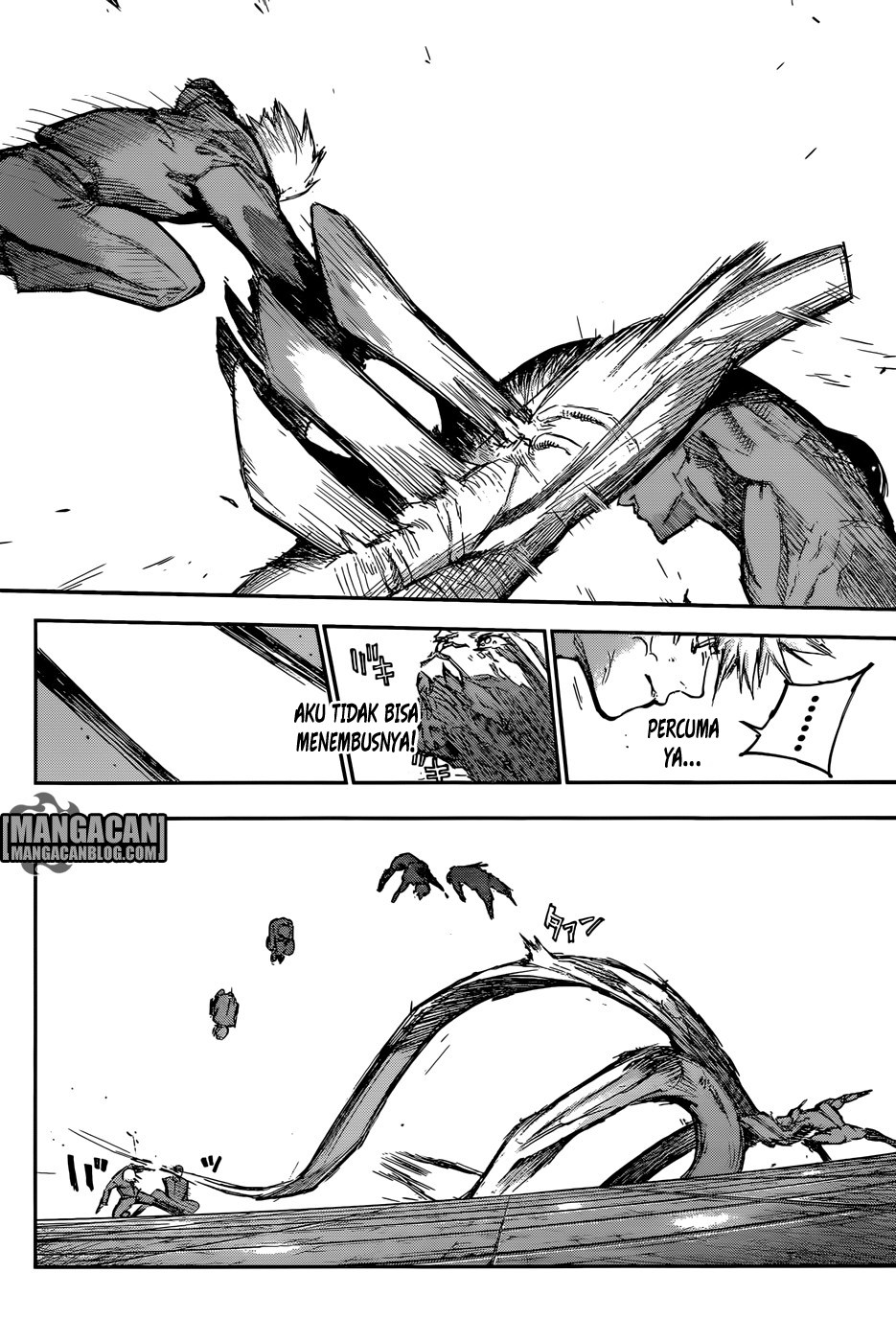 Halaman 11 dari Tokyo Ghoul:re Chapter 113