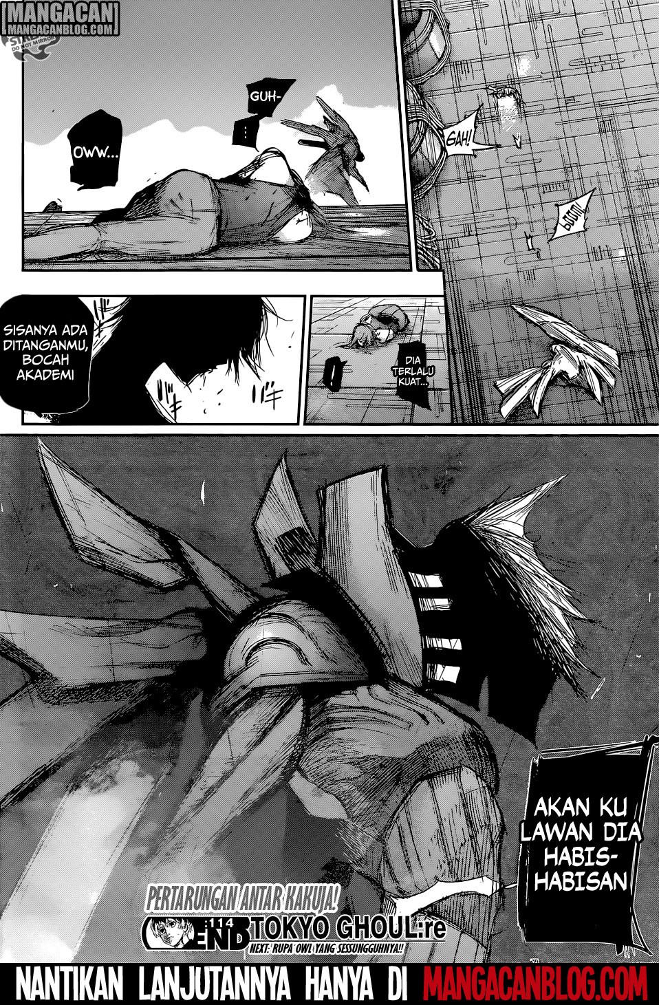 Halaman 19 dari Tokyo Ghoul:re Chapter 114