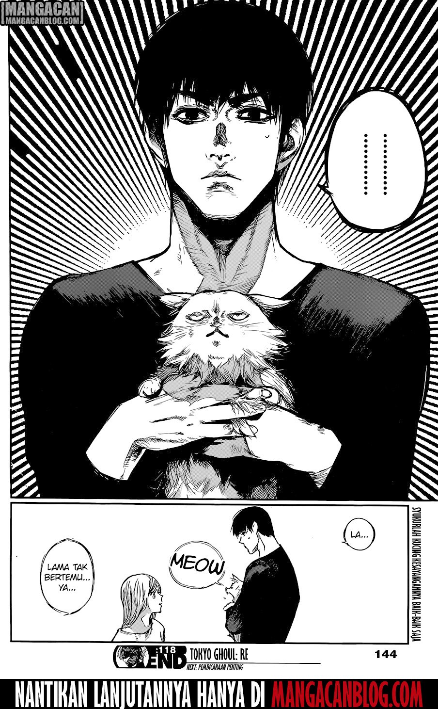 Halaman 19 dari Tokyo Ghoul:re Chapter 118