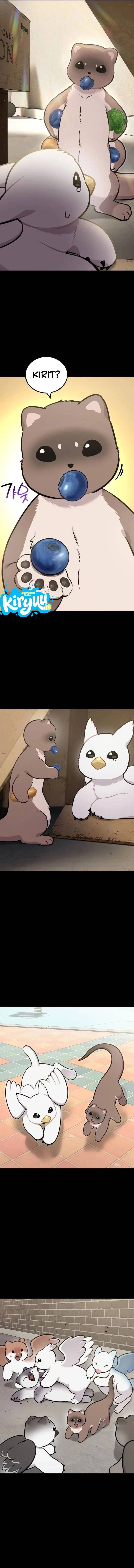 Hello, Fluffy Griffin! chapter 43 halaman 11