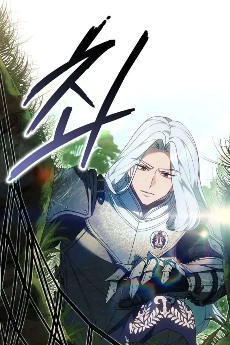 Heika Watashi o Wasurete Kudasai Chapter 17 – halaman 28